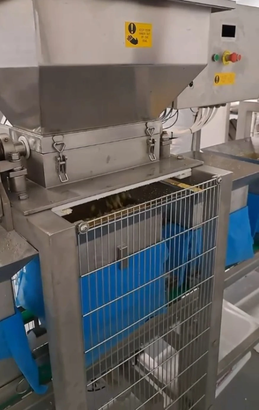 Molino Cheddar — sistema de dosificación gravimétrica en moldes